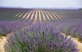 Aix-en-Provence